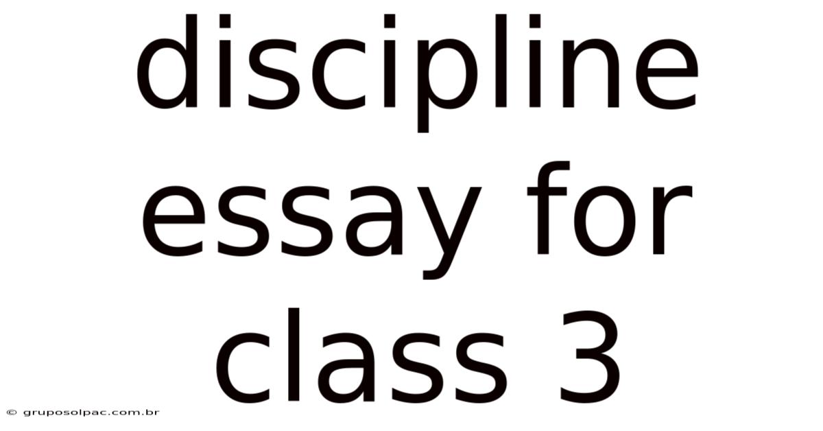 Discipline Essay For Class 3