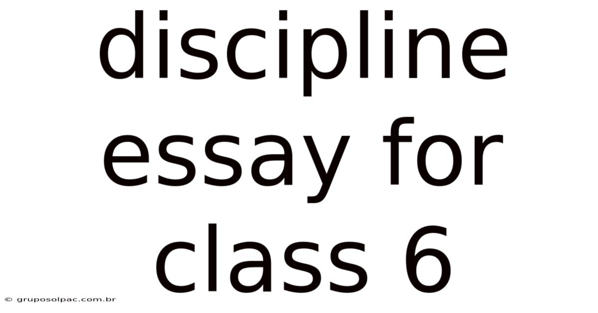 Discipline Essay For Class 6