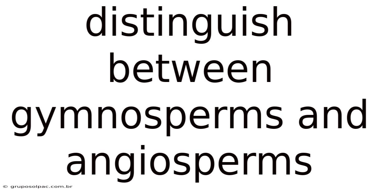 Distinguish Between Gymnosperms And Angiosperms