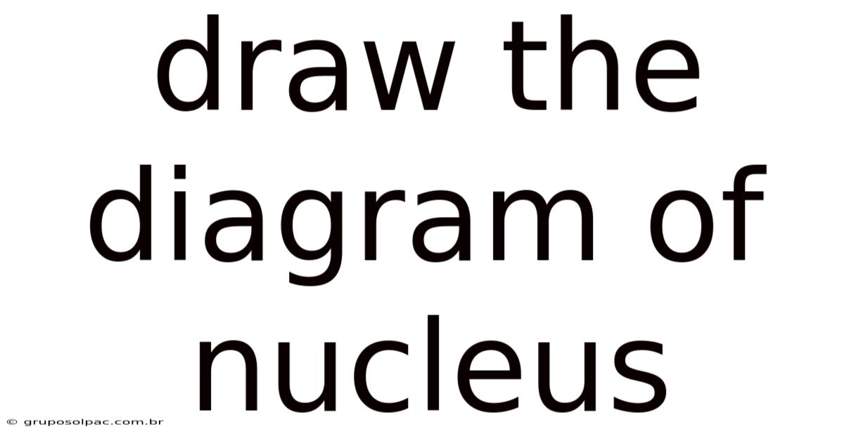 Draw The Diagram Of Nucleus