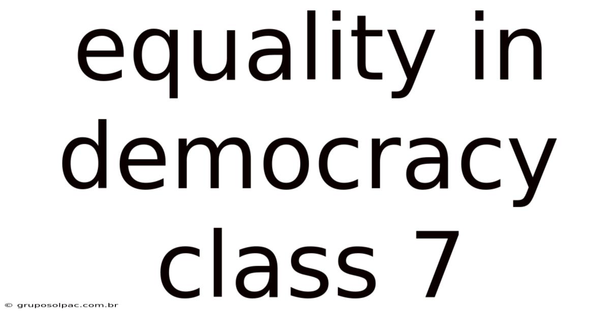 Equality In Democracy Class 7