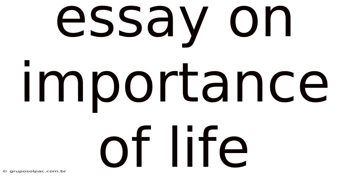 Essay On Importance Of Life