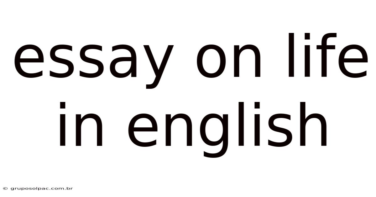 Essay On Life In English
