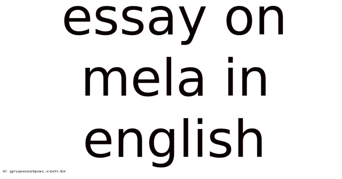 Essay On Mela In English