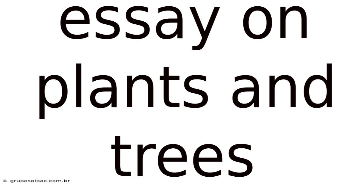 Essay On Plants And Trees