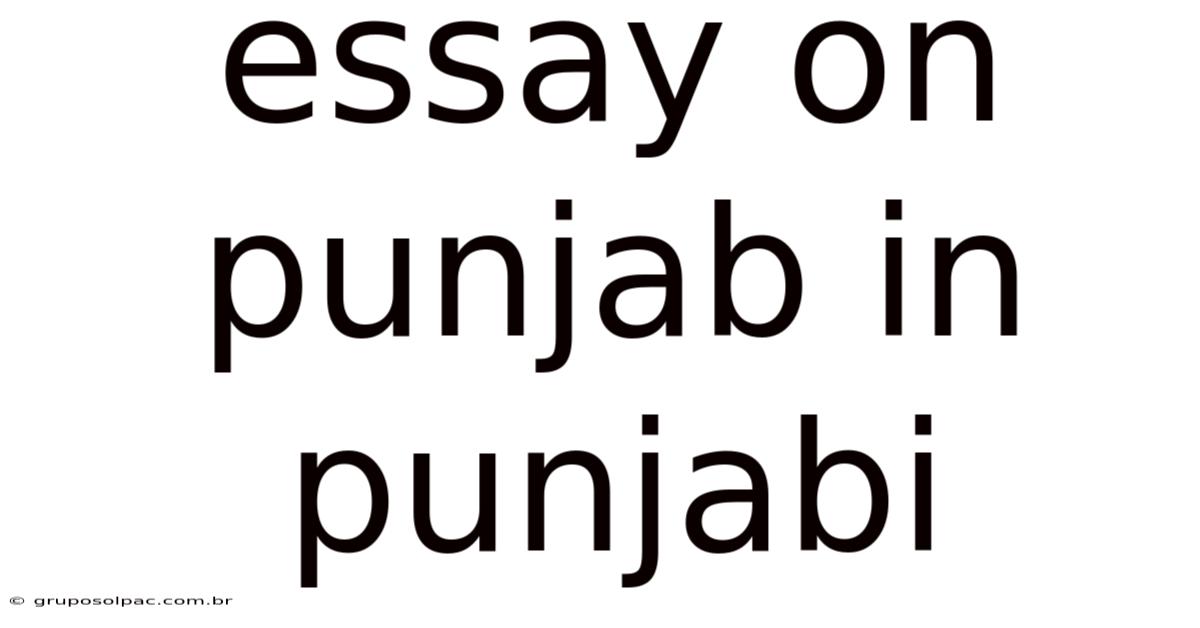 Essay On Punjab In Punjabi