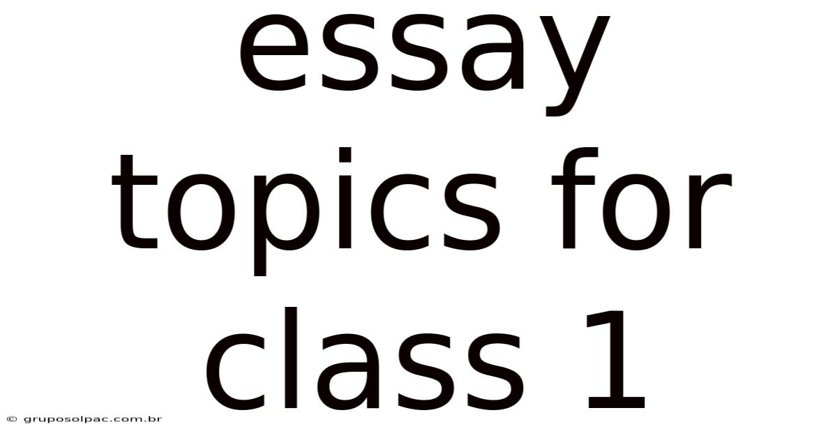 Essay Topics For Class 1