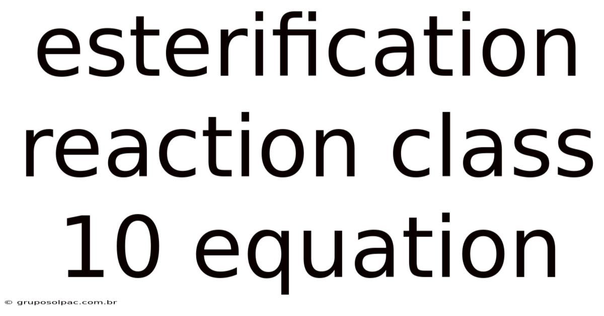 Esterification Reaction Class 10 Equation