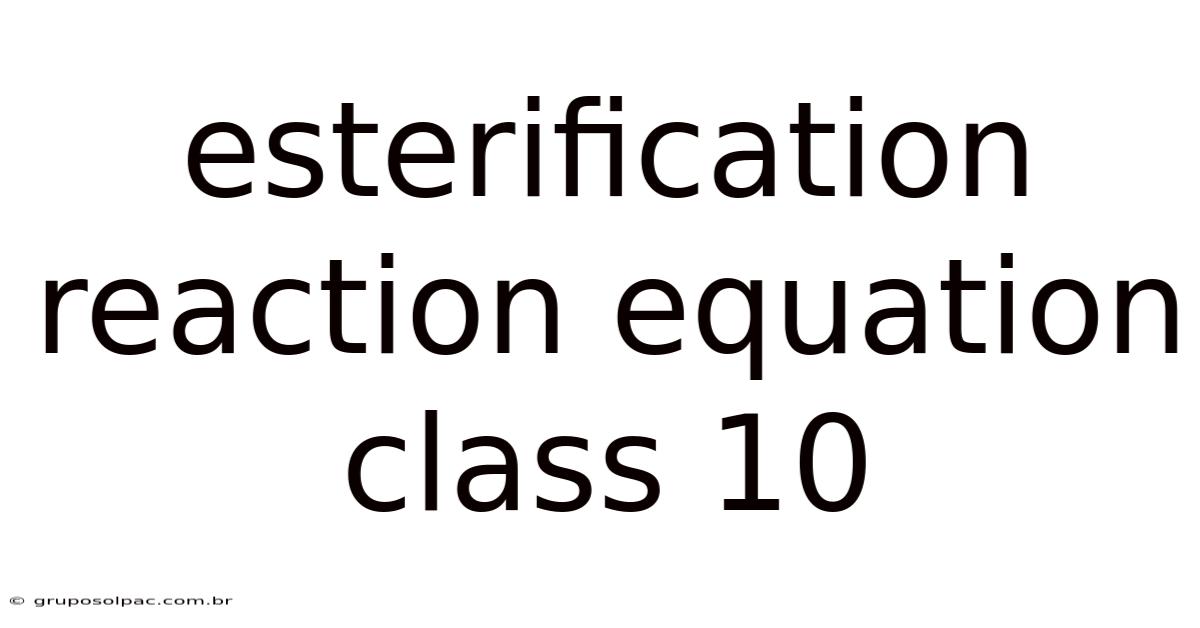 Esterification Reaction Equation Class 10