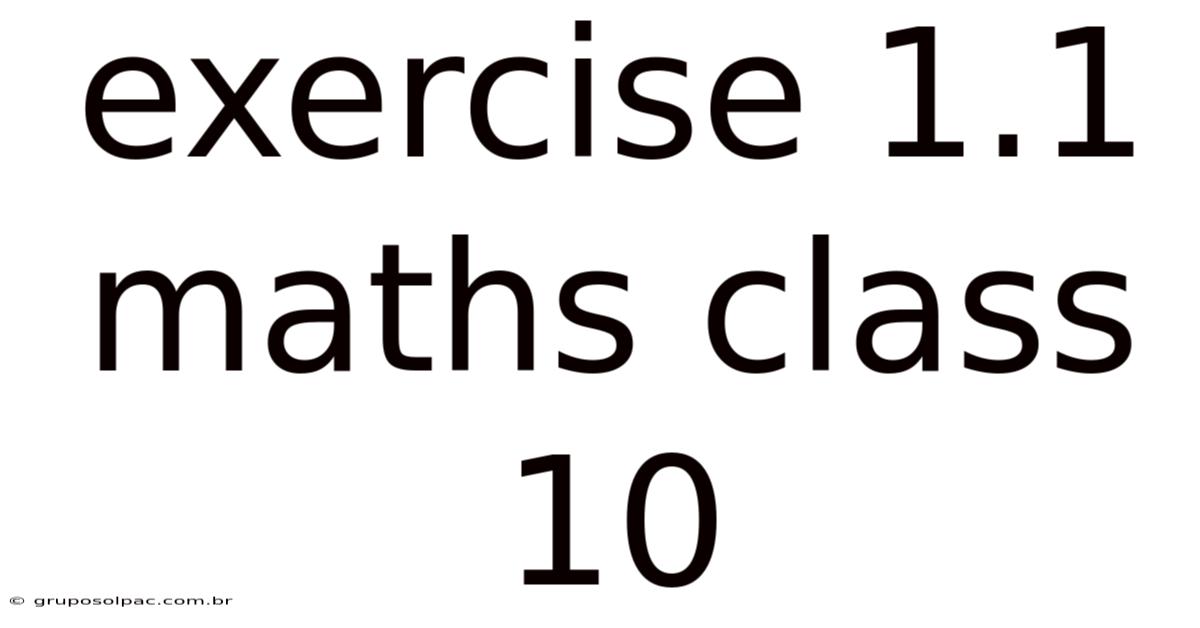 Exercise 1.1 Maths Class 10