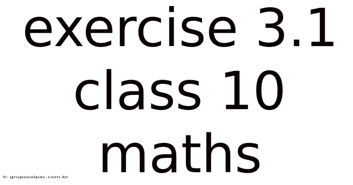 Exercise 3.1 Class 10 Maths