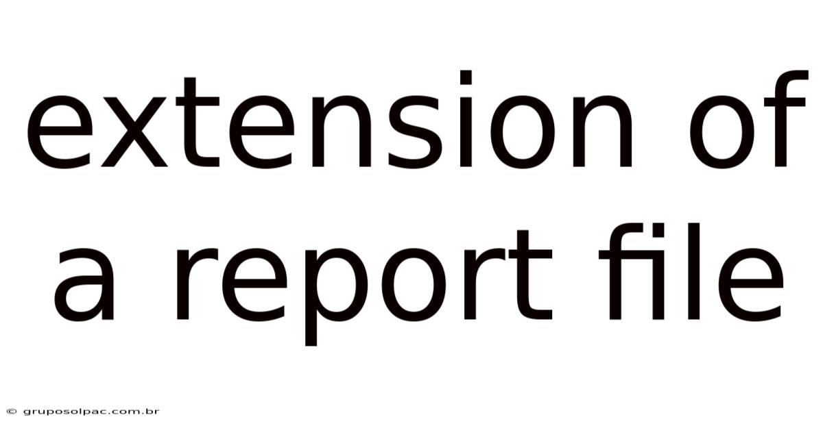 Extension Of A Report File