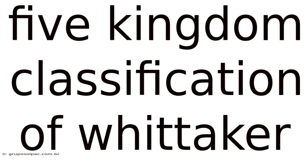 Five Kingdom Classification Of Whittaker