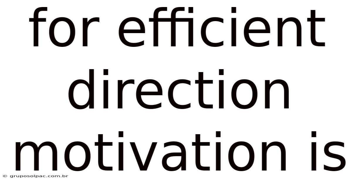 For Efficient Direction Motivation Is