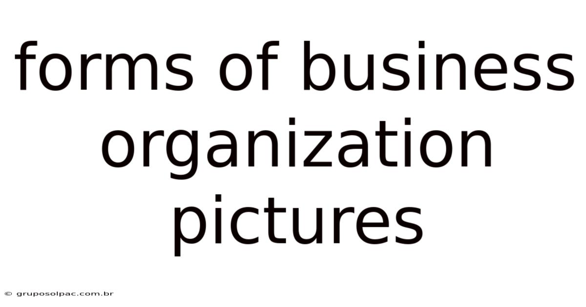 Forms Of Business Organization Pictures