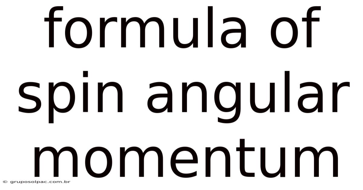 Formula Of Spin Angular Momentum