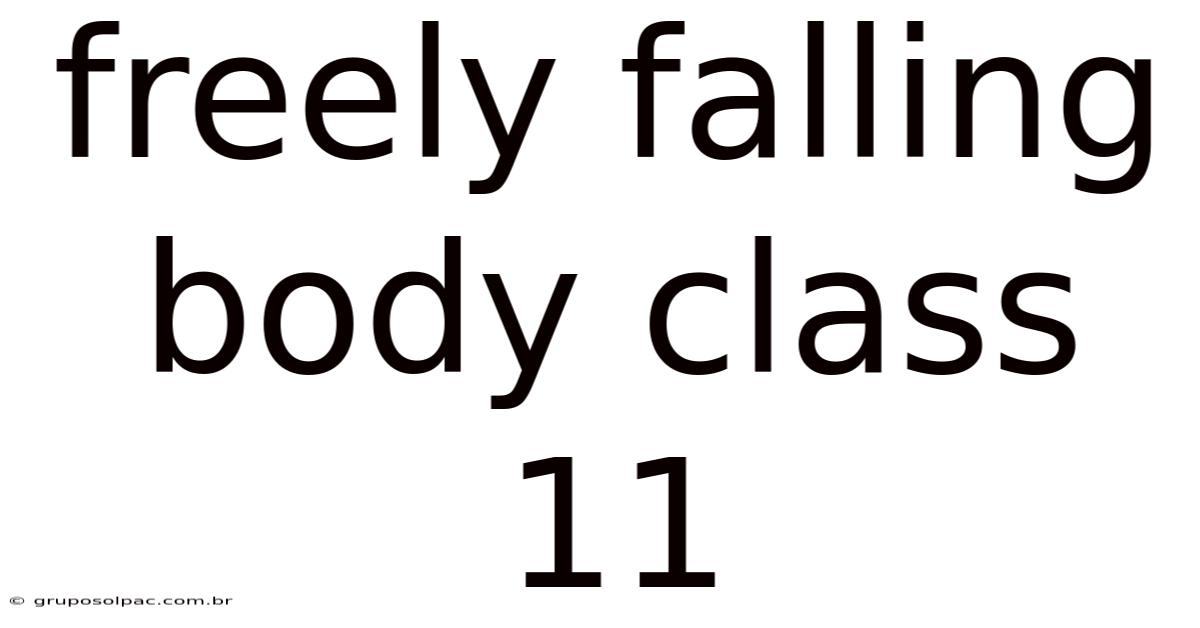 Freely Falling Body Class 11