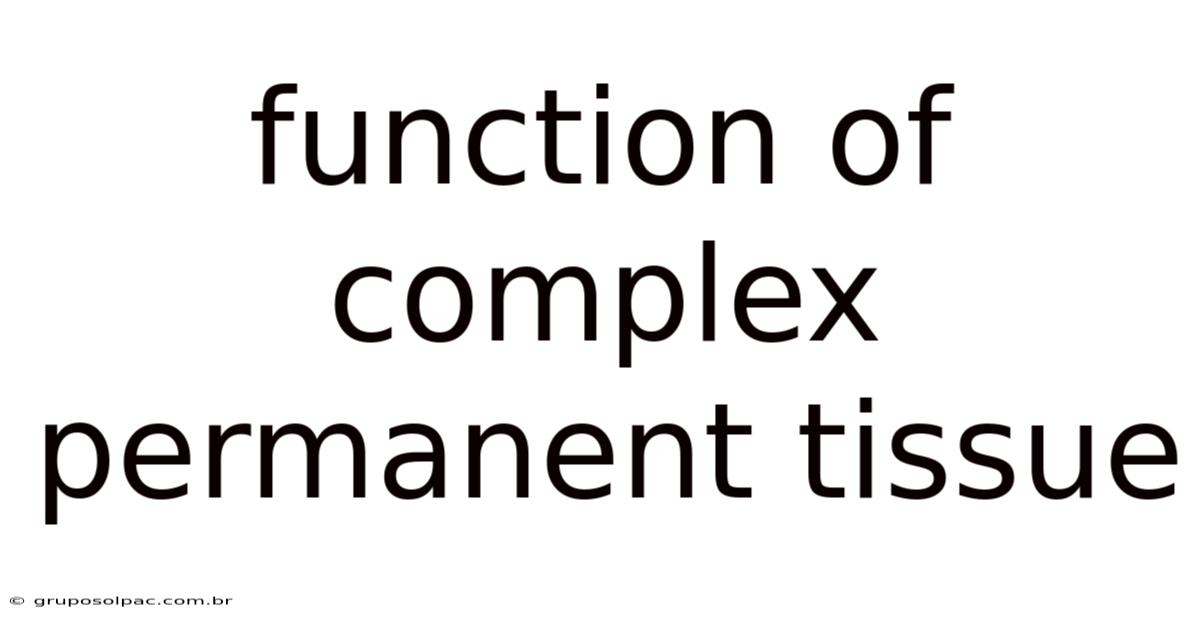 Function Of Complex Permanent Tissue