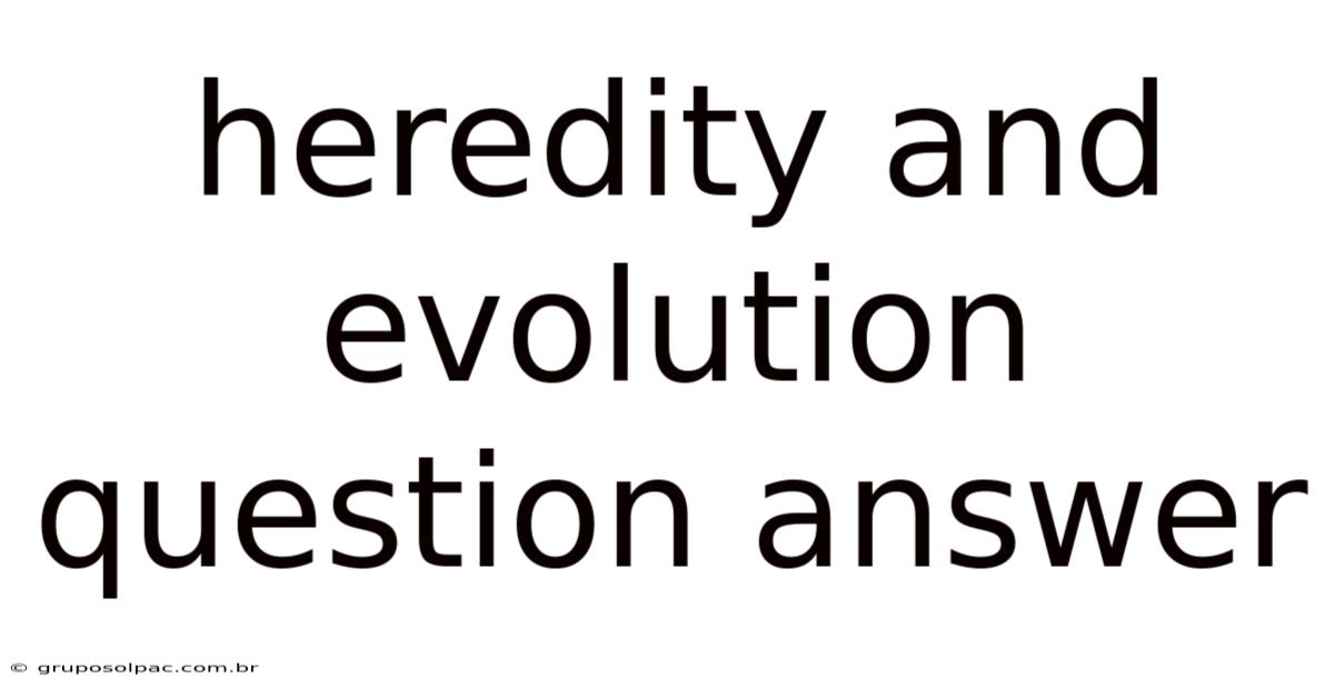 Heredity And Evolution Question Answer