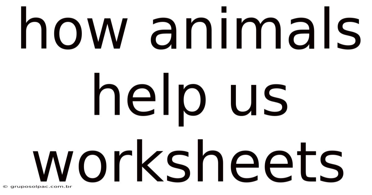 How Animals Help Us Worksheets
