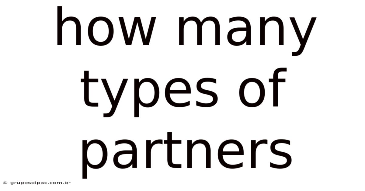 How Many Types Of Partners