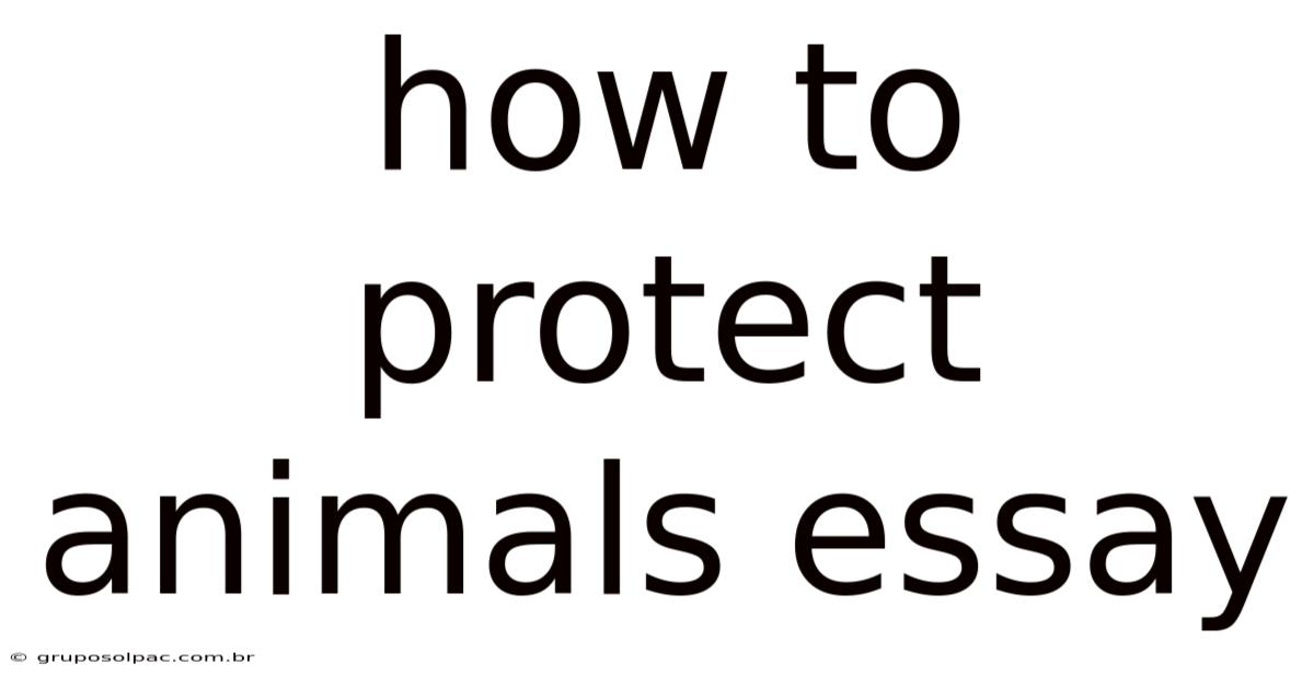 How To Protect Animals Essay