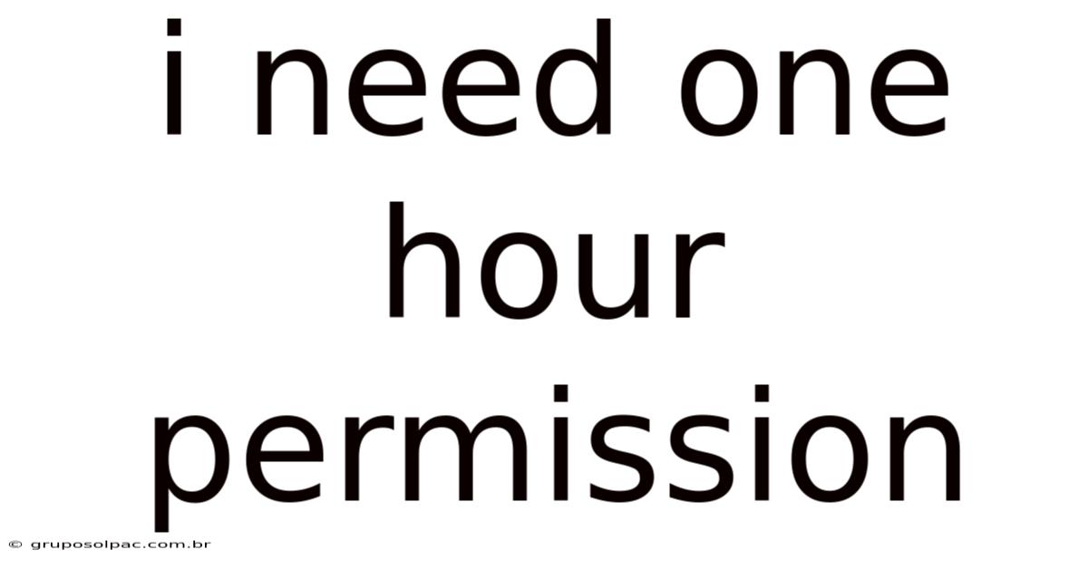 I Need One Hour Permission