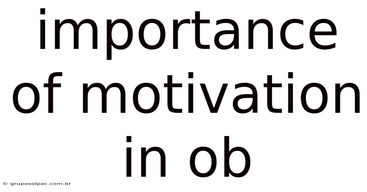Importance Of Motivation In Ob