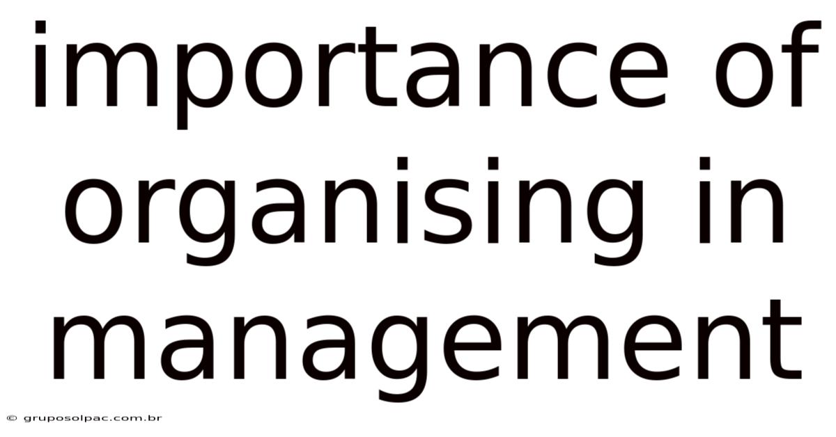 Importance Of Organising In Management