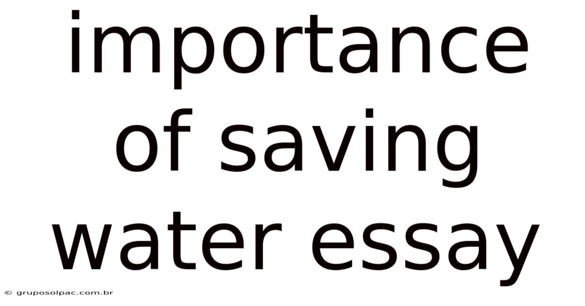 Importance Of Saving Water Essay
