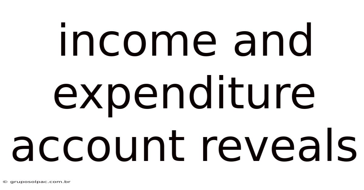 Income And Expenditure Account Reveals