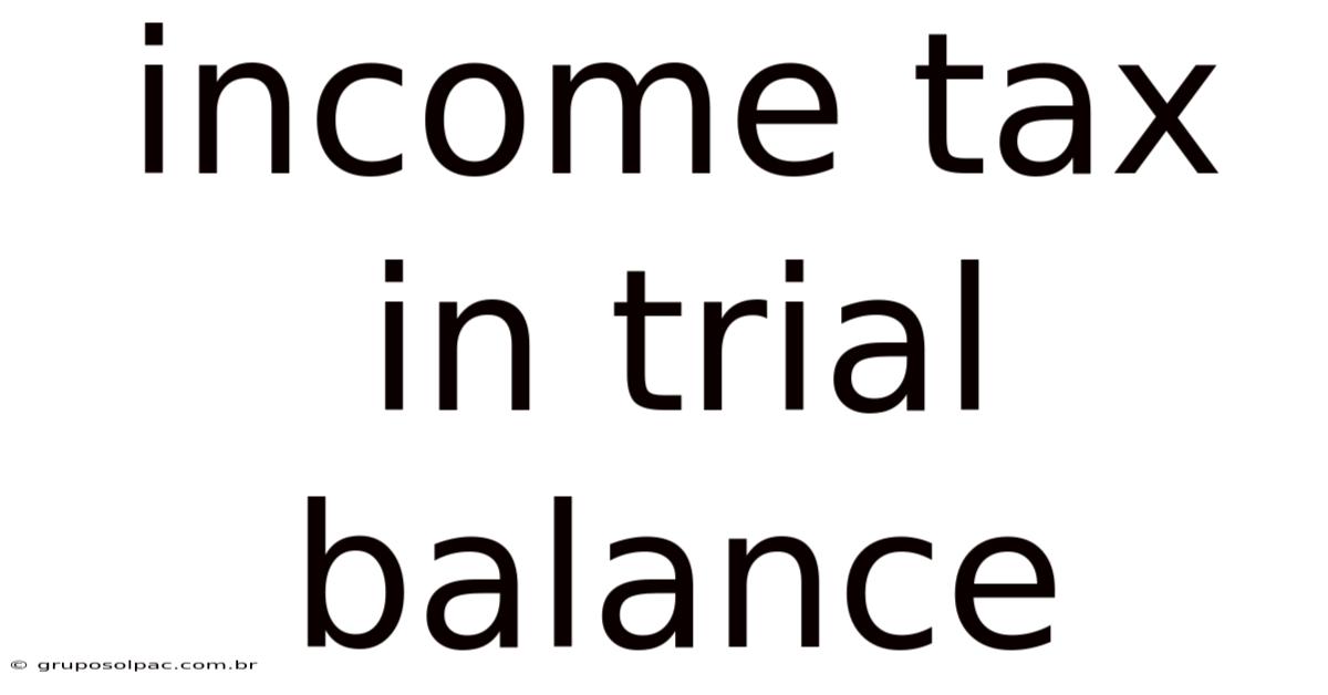 Income Tax In Trial Balance