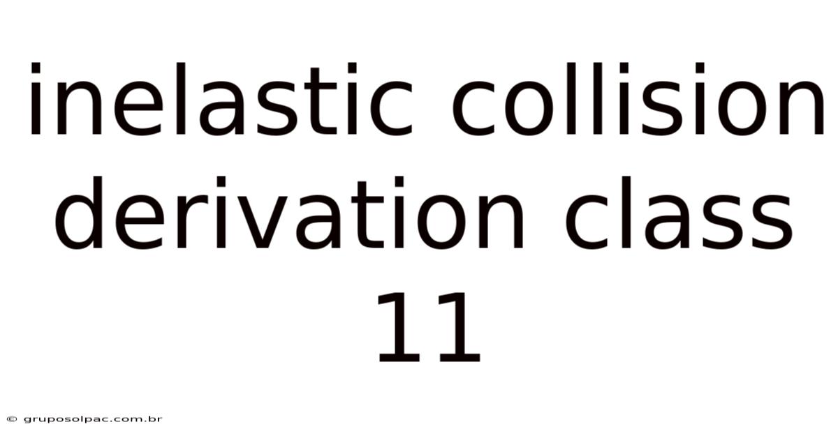 Inelastic Collision Derivation Class 11