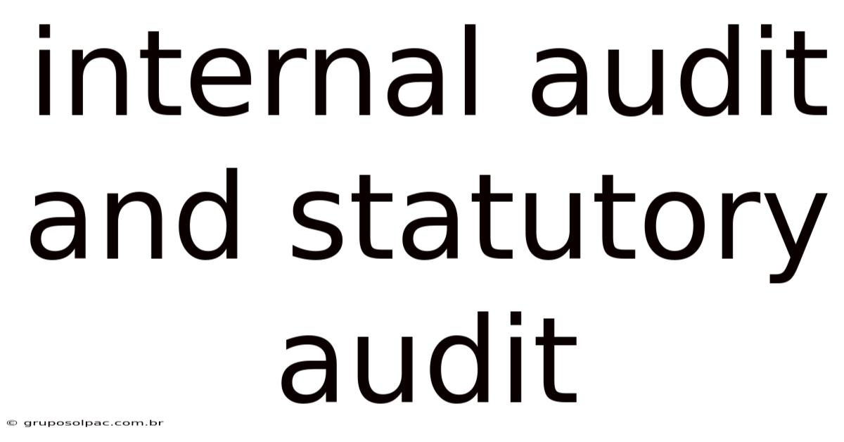 Internal Audit And Statutory Audit