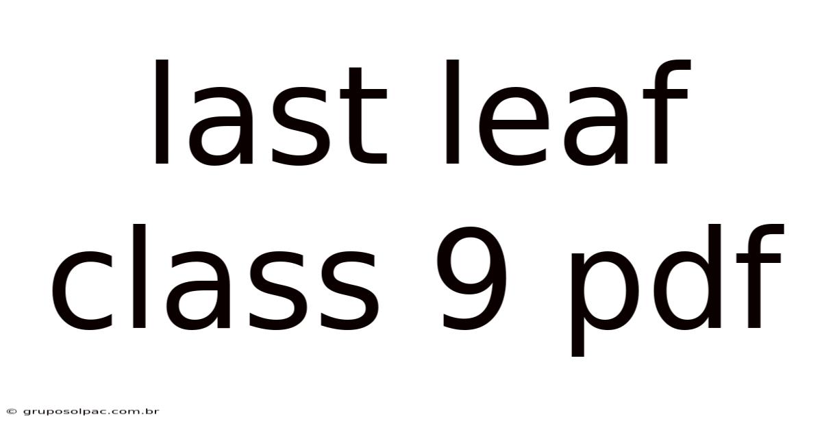 Last Leaf Class 9 Pdf