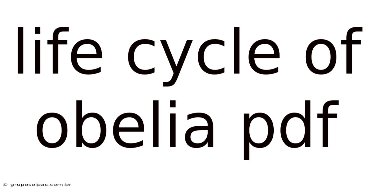 Life Cycle Of Obelia Pdf