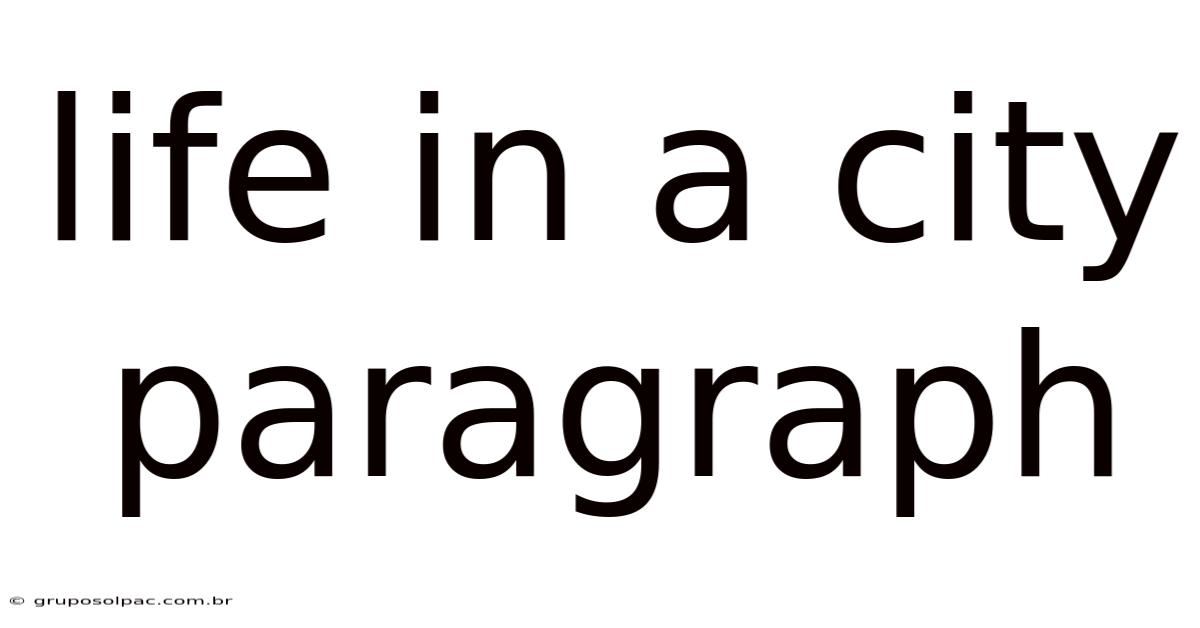 Life In A City Paragraph