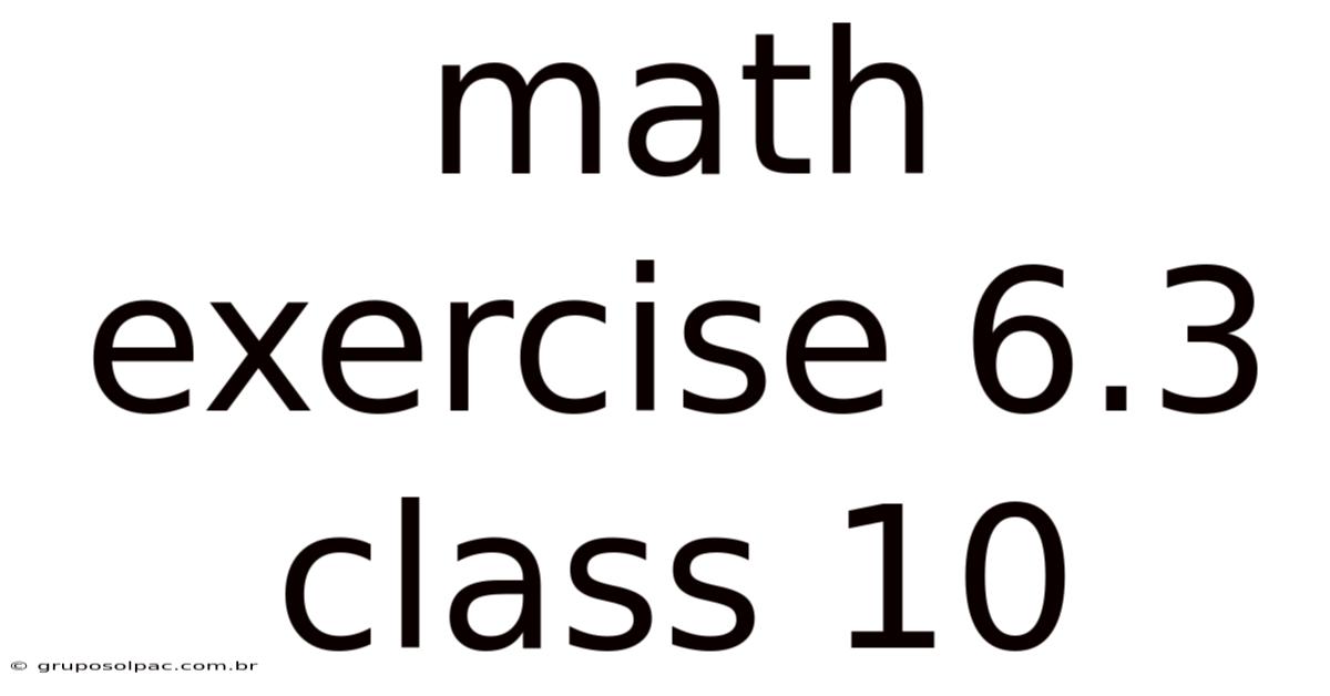 Math Exercise 6.3 Class 10
