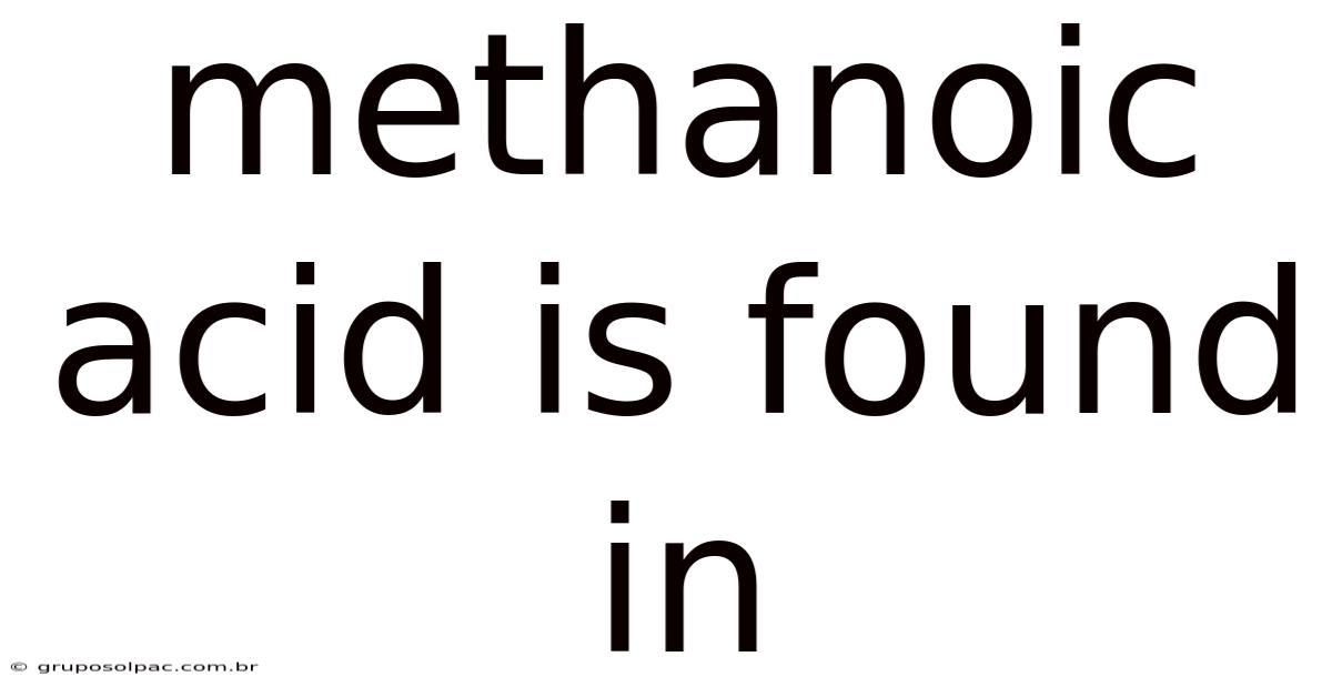Methanoic Acid Is Found In