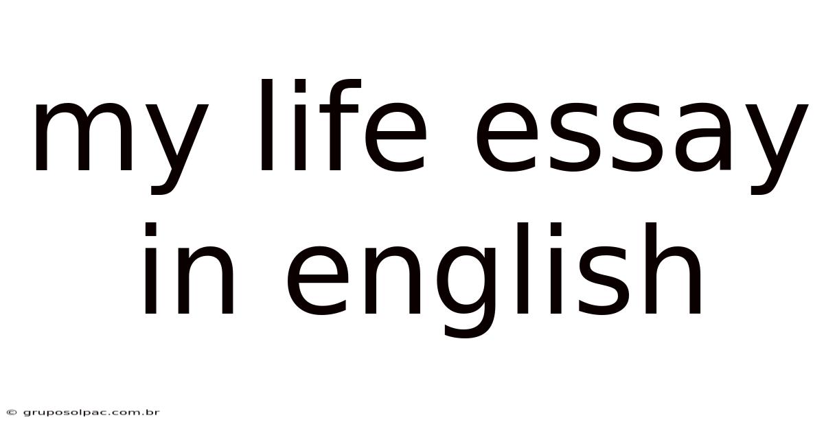 My Life Essay In English