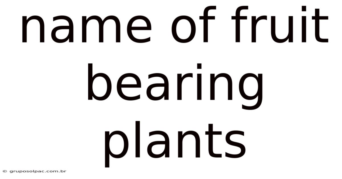 Name Of Fruit Bearing Plants