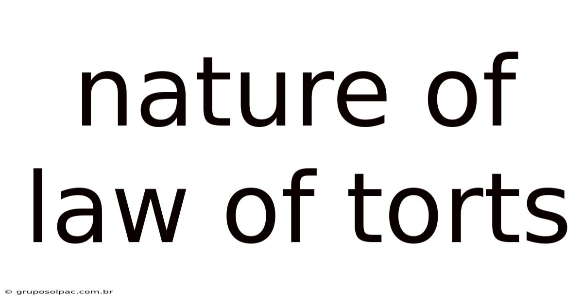 Nature Of Law Of Torts