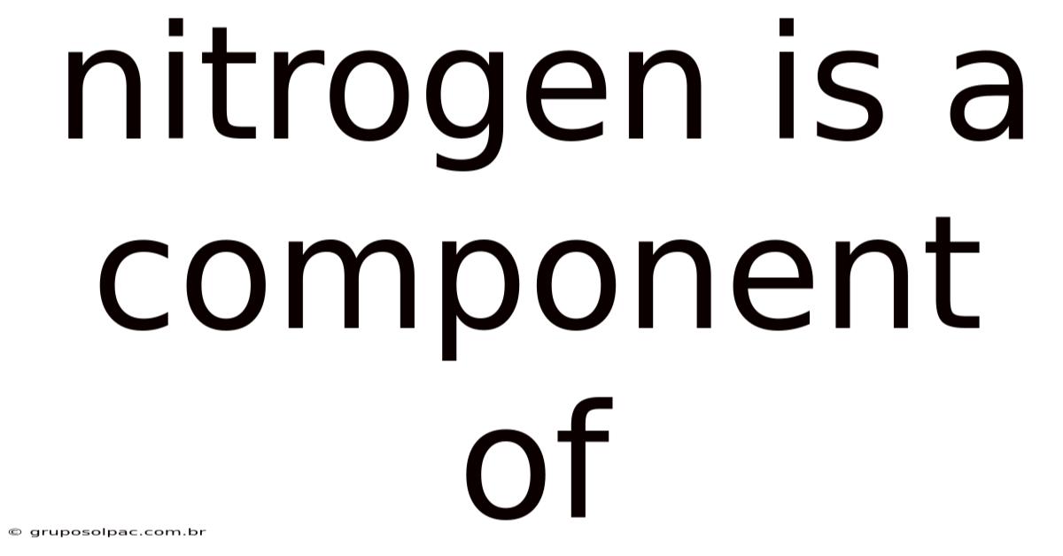 Nitrogen Is A Component Of