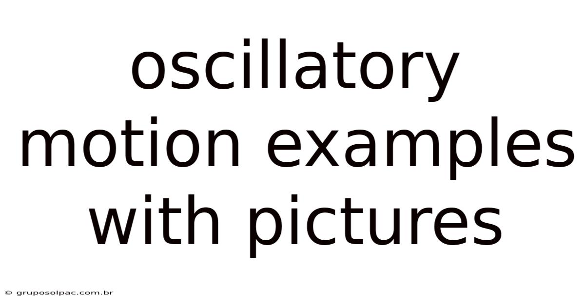 Oscillatory Motion Examples With Pictures