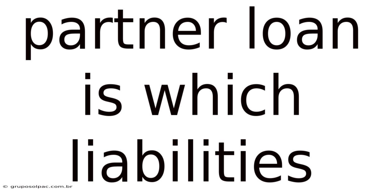 Partner Loan Is Which Liabilities