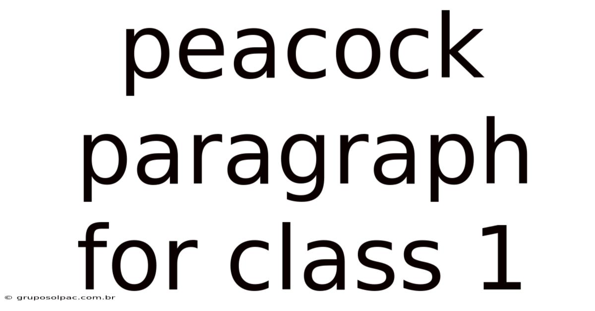 Peacock Paragraph For Class 1