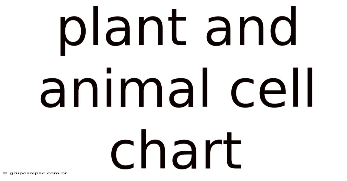 Plant And Animal Cell Chart
