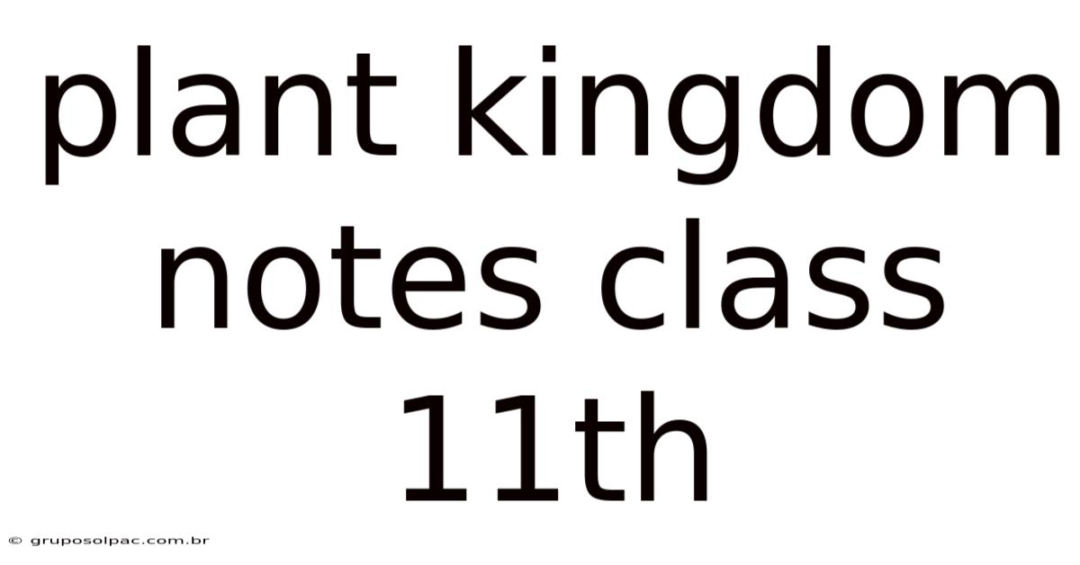 Plant Kingdom Notes Class 11th