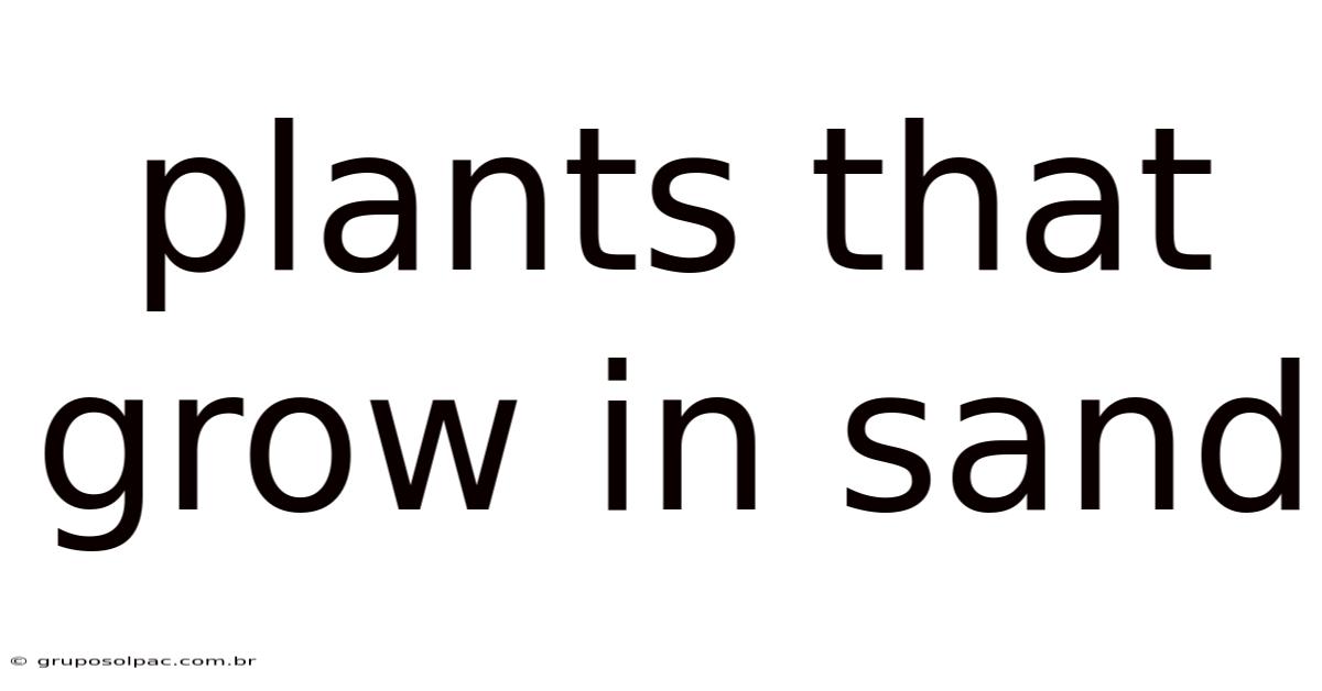 Plants That Grow In Sand