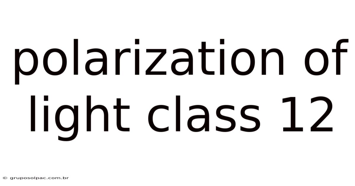 Polarization Of Light Class 12